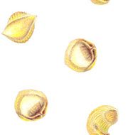 Hand-drawn italian pasta seamless pattern