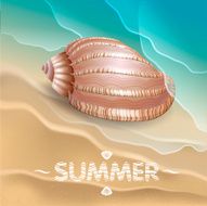 Shell on the waves N3