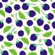 Seamless pattern with blackberry