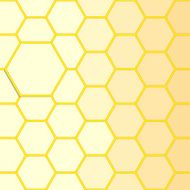 hexagon background N16