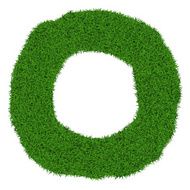 Grass frame N5