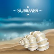Shell on the waves N5