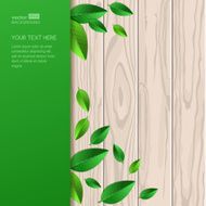 Wooden texture fresh leaves and green background Vector illustration