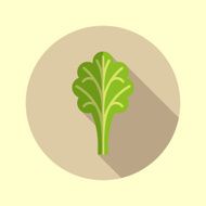 Salad icon Flat design long shadow Vector illustration