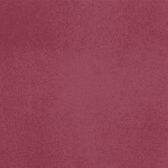 Vector canvas Burgundy color