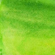 vector abstract grunge green watercolor background