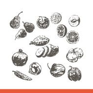 Ink hand drawn fruits and vegetables set N3