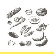 Ink hand drawn fruits and vegetables set N4