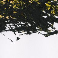 Black abstract watercolor acrylic painting brush strokes on white paper