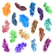 Watercolor feather set in various colors