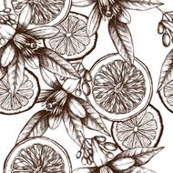 Vintage citrus background N2