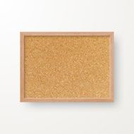 Blank Cork Board - Background N2