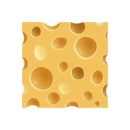 Piece of Cheese N5