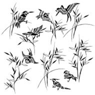 Bamboo bird illustration N4