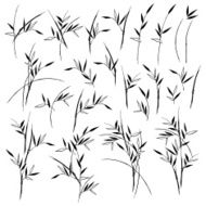 Bamboo illustration N7