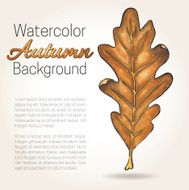 Watercolor Autumn Background with Painted Oak Leaf and Copy Space