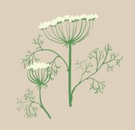Set of floral graphic design elements dill Ukraine N2