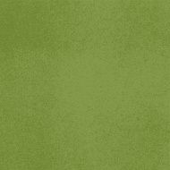 Vector canvas Light green color