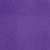 Vector canvas violet color