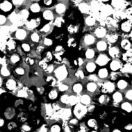 Abstract ink grunge texture vector N28