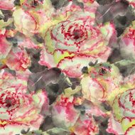 Ranunculus
