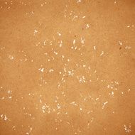 Textured background N17
