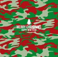 Military camouflage background N3