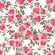 Roses N97