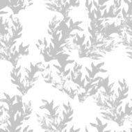 floral grunge background N14