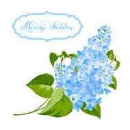 Spring siringa flowers background N2