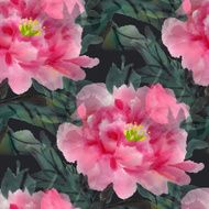 Peonies N16