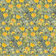 Dandelions N31