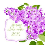 Spring card N8