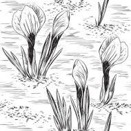 Spring floral pattern N11