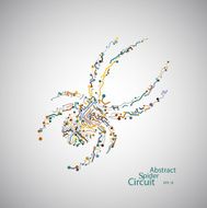 Circuit board spider eps 10