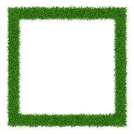 Grass frame N6