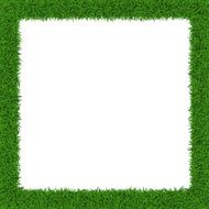 Grass Border N3