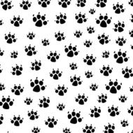 vector dog foot prints