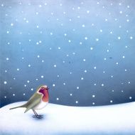 Robin in the snow