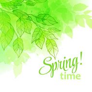 Watercolor spring leaves Vector illustration