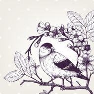 Vintage sketch of beautiful bird
