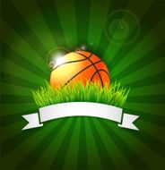 Basketball ball on field grass with white ribbon N2