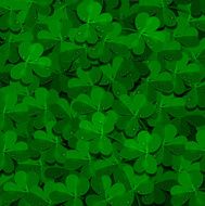 shamrock field background with dew drops
