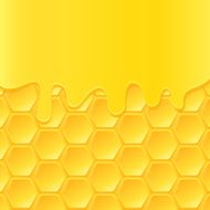 Honeycomb background N7