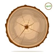 Tree-rings