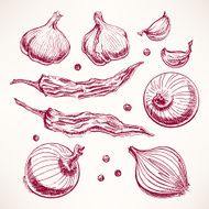 vegetables and spices set - 2