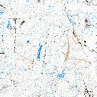 Seamless dirty rusty grunge texture vector background N5