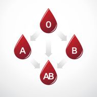 simple diagram of blood type compatibility