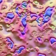 3D elevated fantasy square background with relief close up N3
