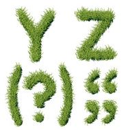 Green Grass Alphabet Y Z